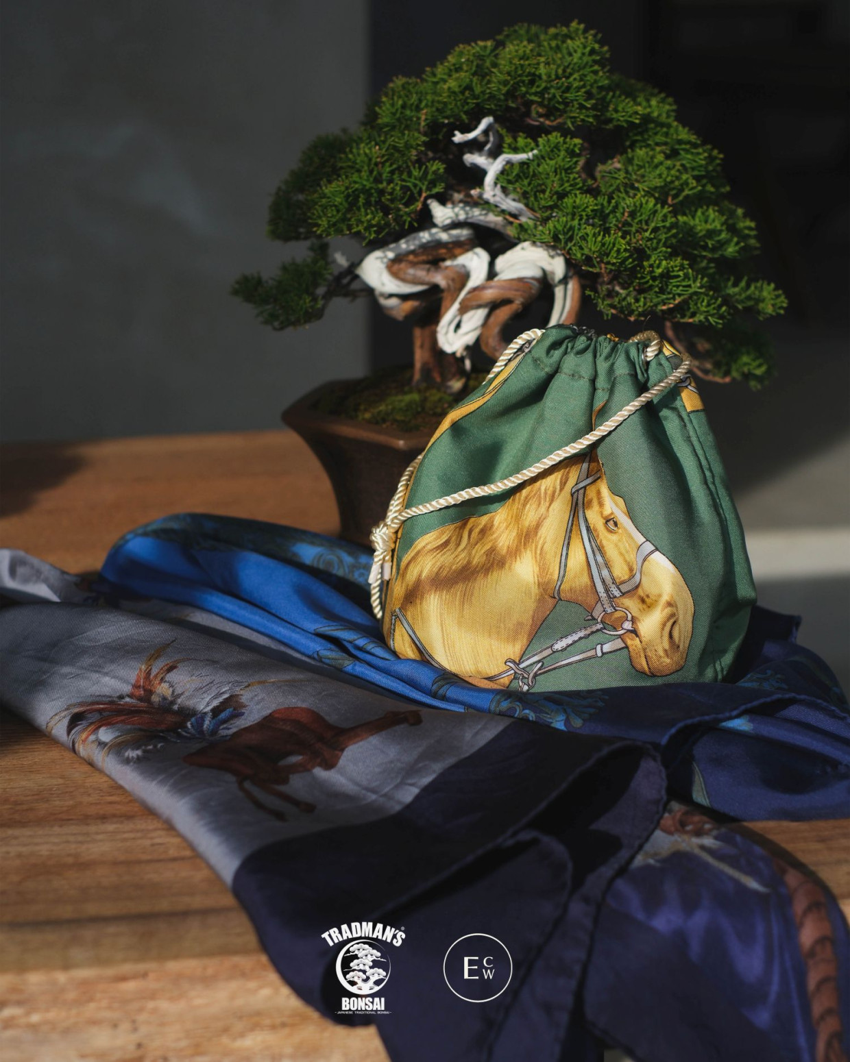 TRADMAN’S BONSAI EXHIBITION / POPUP STORE／江口時計店10周年企画「My Timeless Treasure」