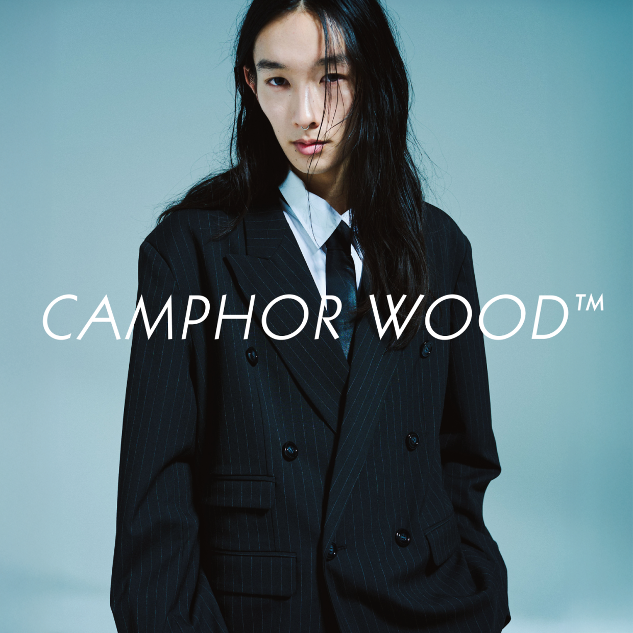 CAMPHOR WOOD