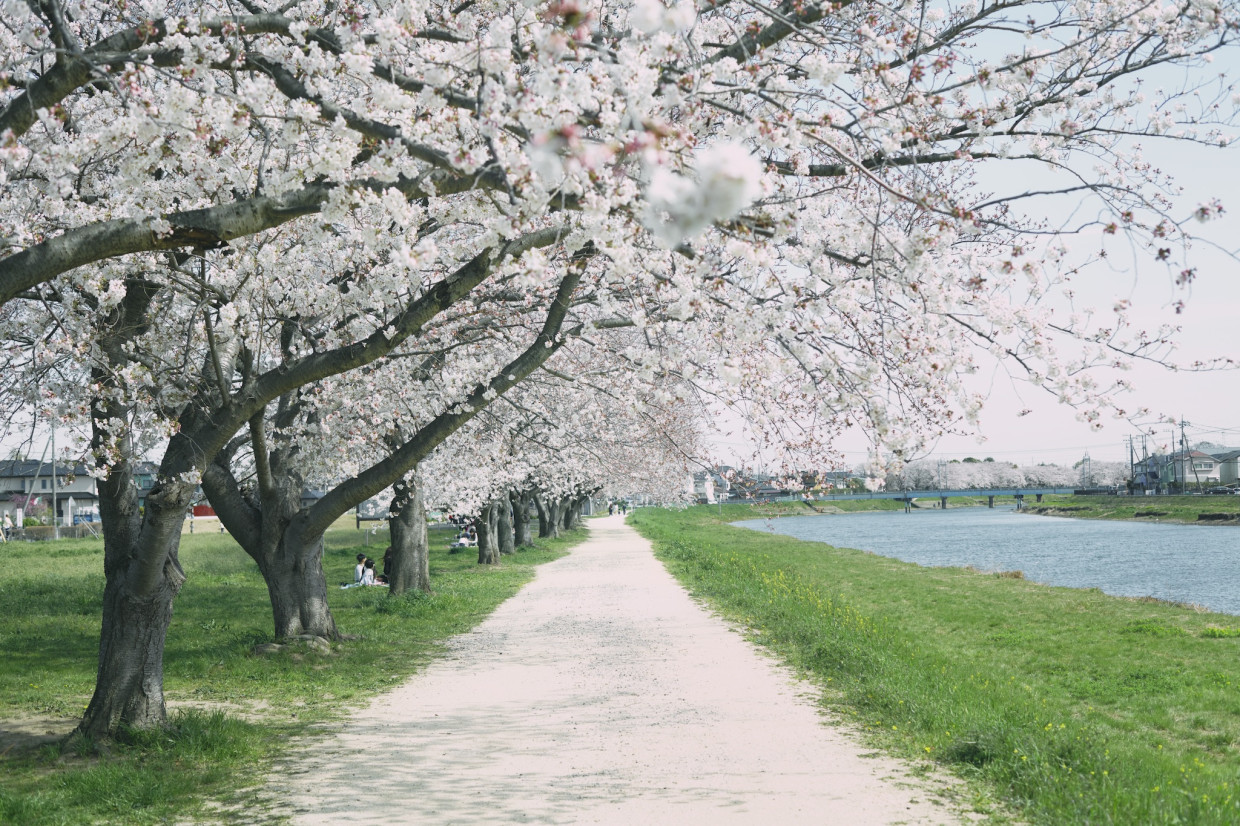 竹林亮監督作品・映画『14歳の栞』『大きな家』再上映