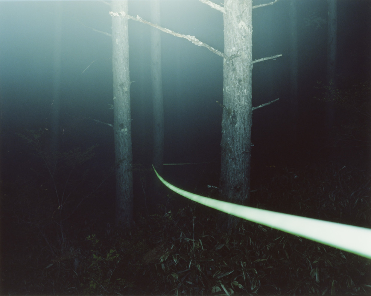 ジェリー鵜飼展《ZEN HIKER》／柏田テツヲ写真展《Boundary》