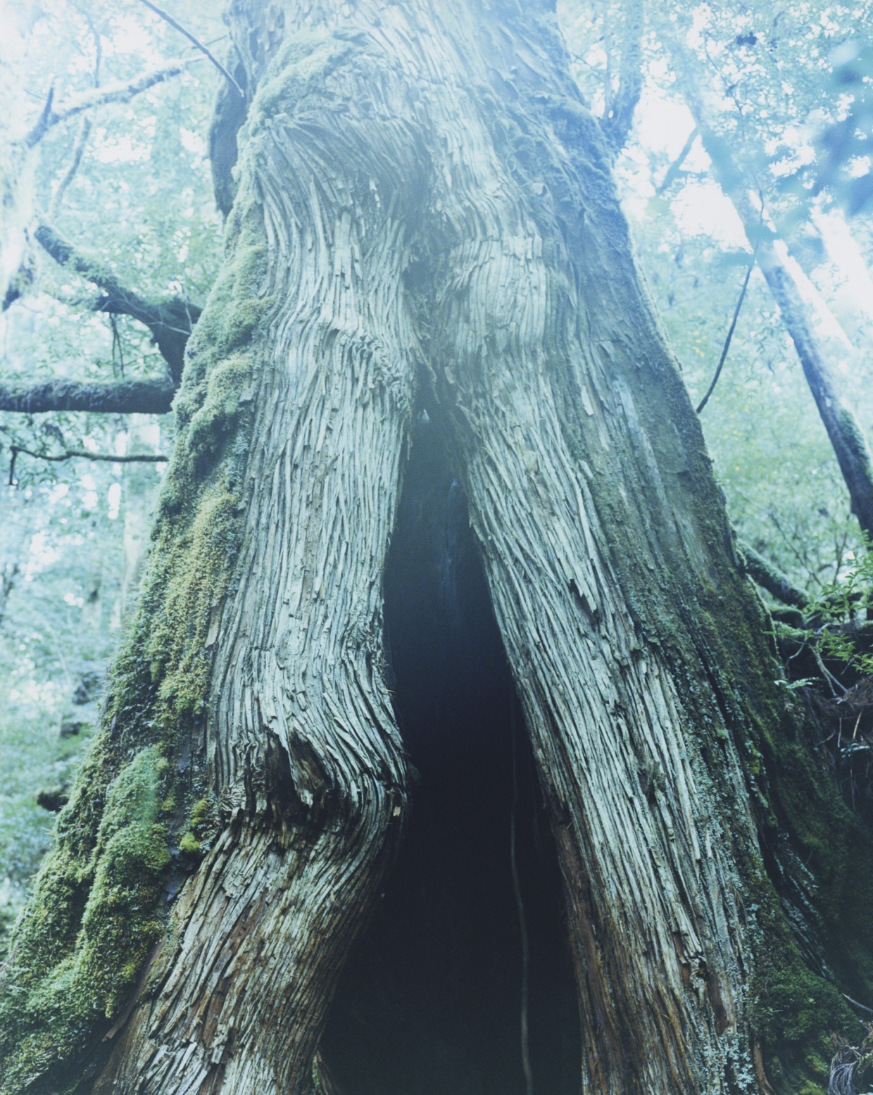 ジェリー鵜飼展《ZEN HIKER》／柏田テツヲ写真展《Boundary》