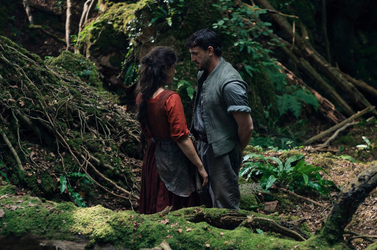 WHITE CINE QUINTO 上映スケジュール