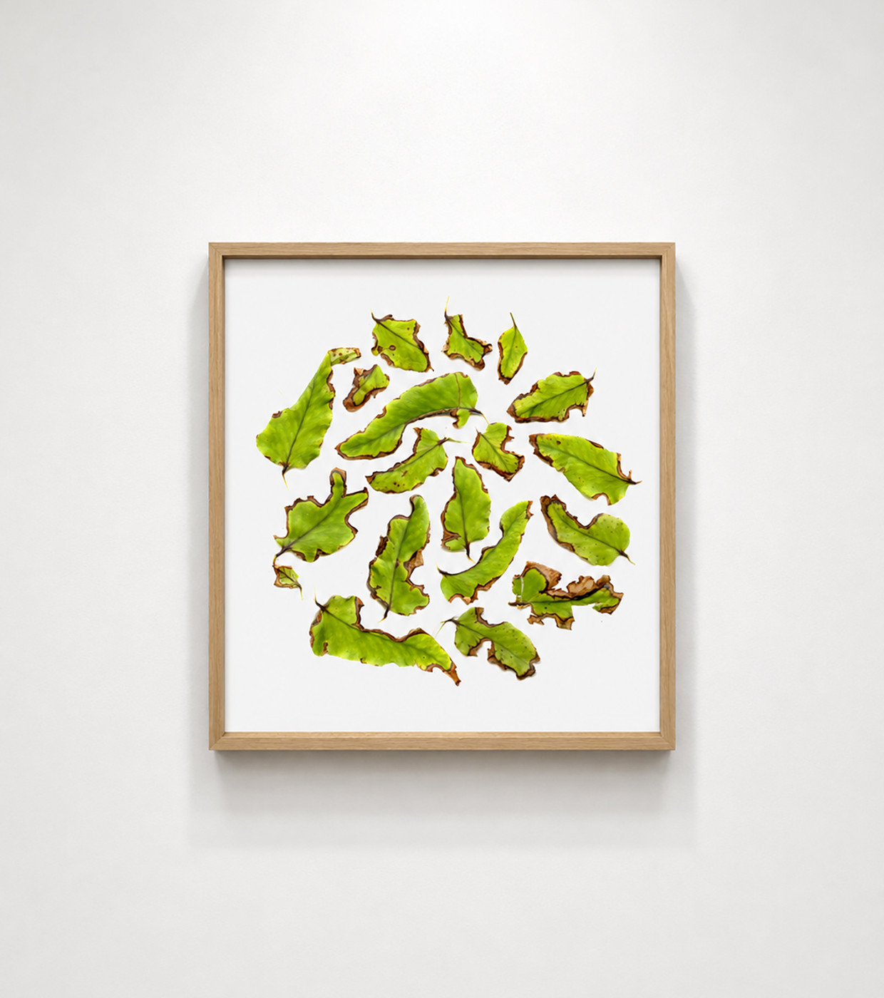 LOWW presents EXHIBITION Holzwege
