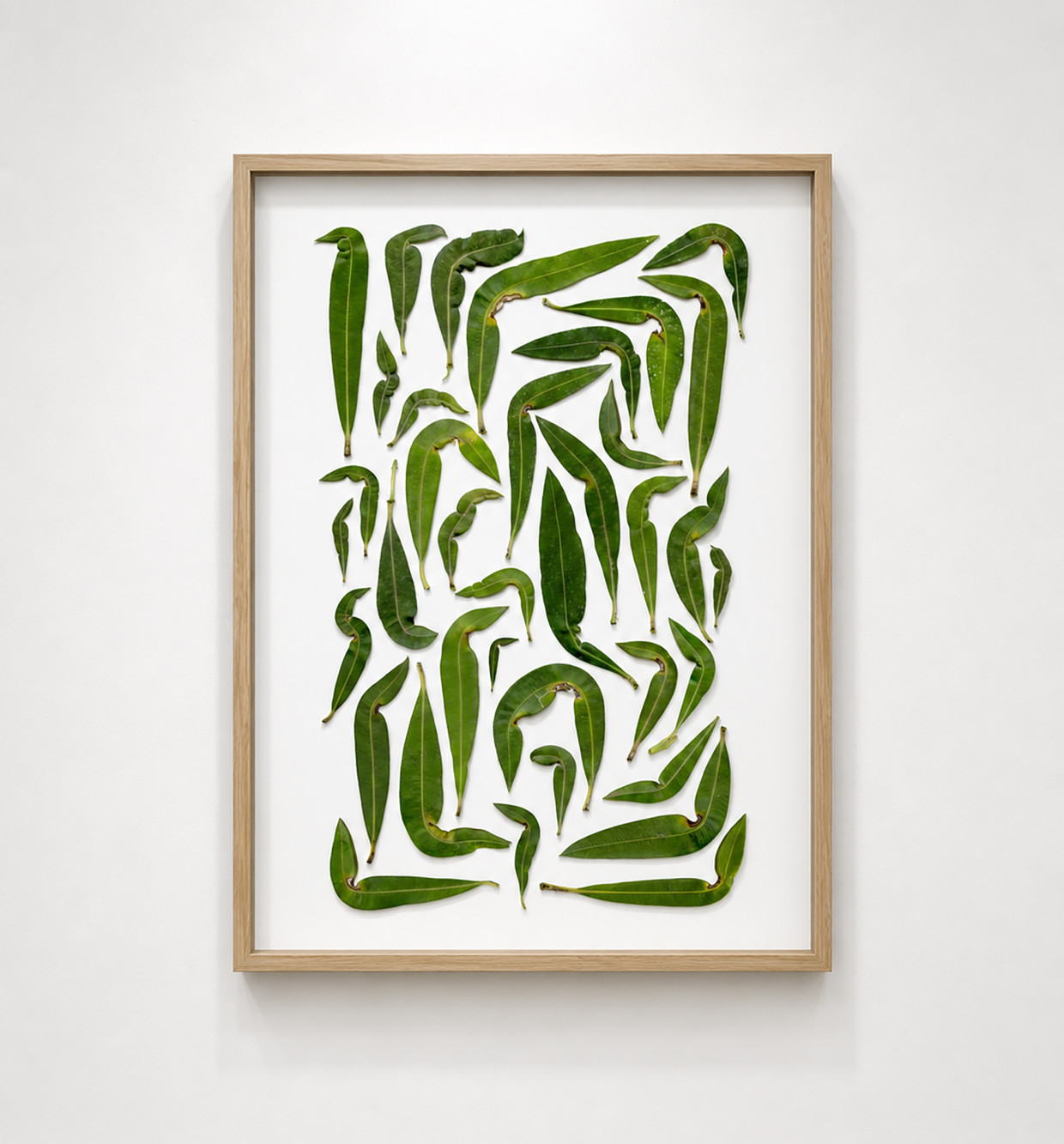 LOWW presents EXHIBITION Holzwege