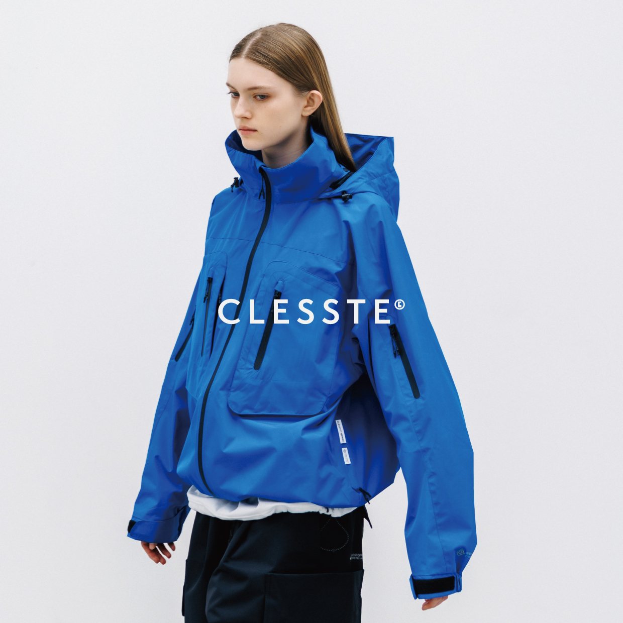 CLESSTE