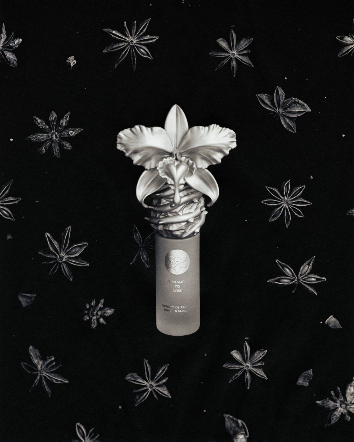 FLOWER IN THE ASHES×NUBIAN