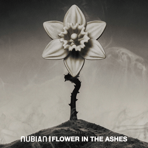 FLOWER IN THE ASHES×NUBIAN