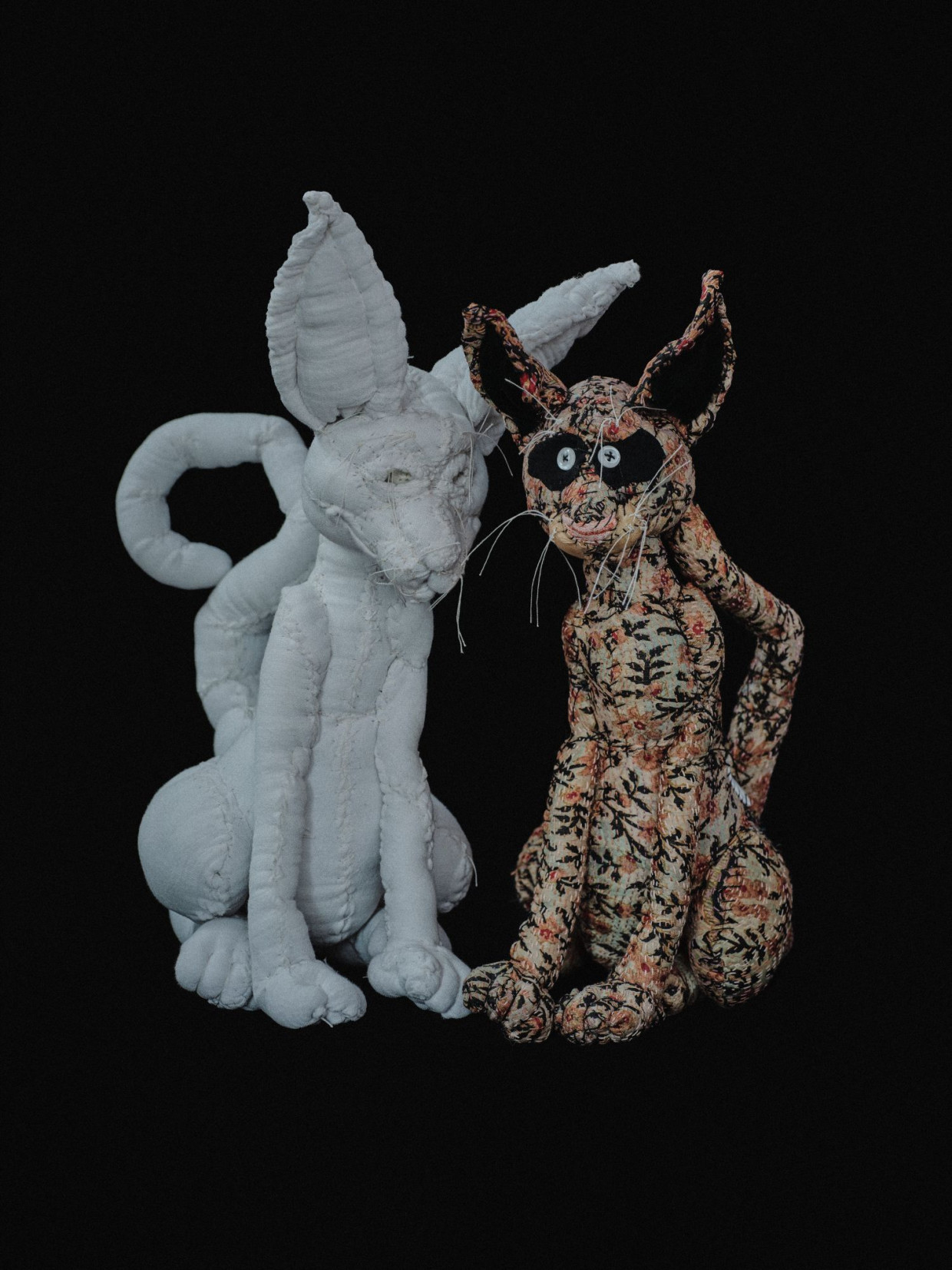 Sara Finchley×Anne-Valérie Dupond