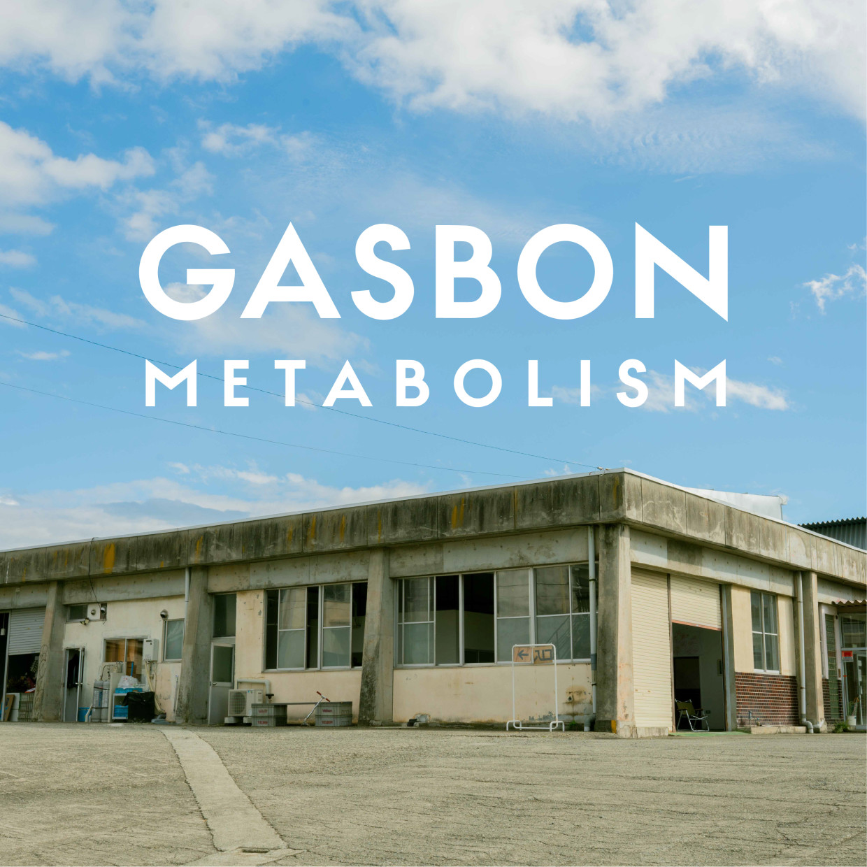 GASBON METABOLISM 