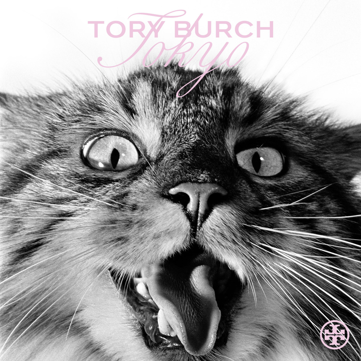 TORY BURCH ANIMAL HOUSE