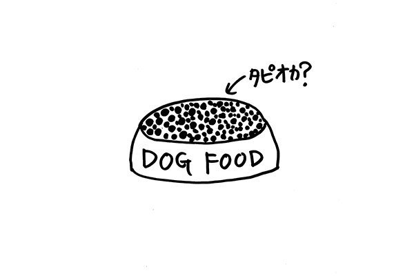加賀美健 展「DOG LOVER」