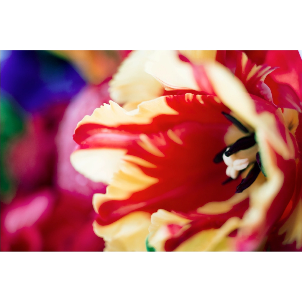 Event Popup 蜷川実花 花 展 渋谷parco パルコ