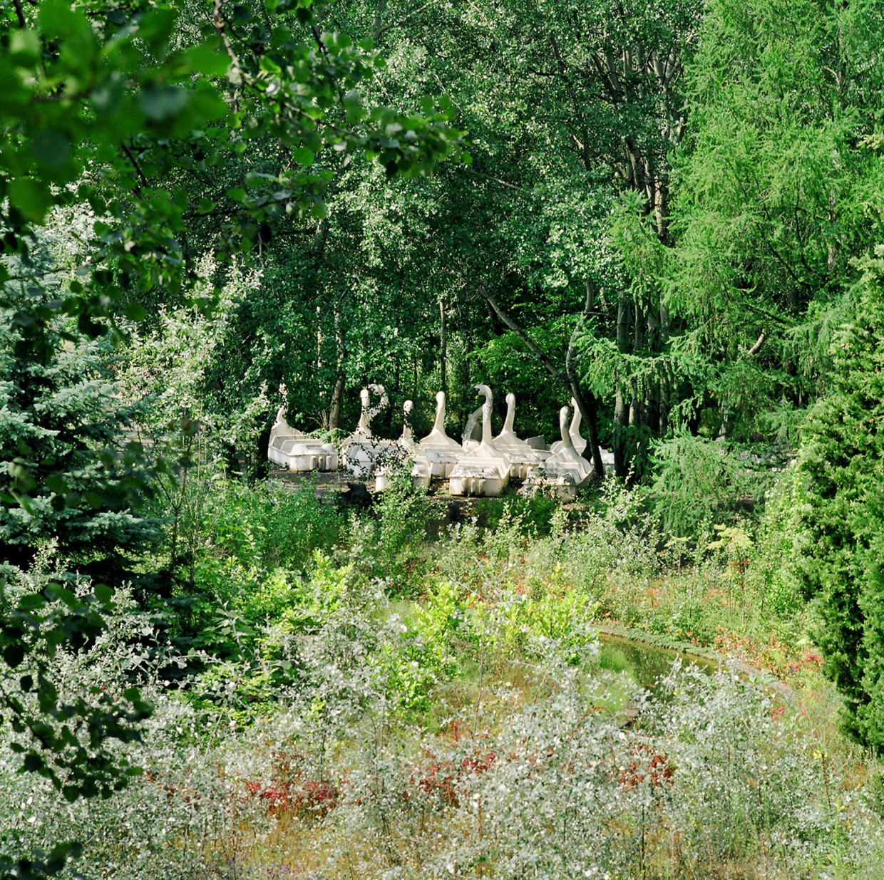 LOWW presents EXHIBITION Holzwege