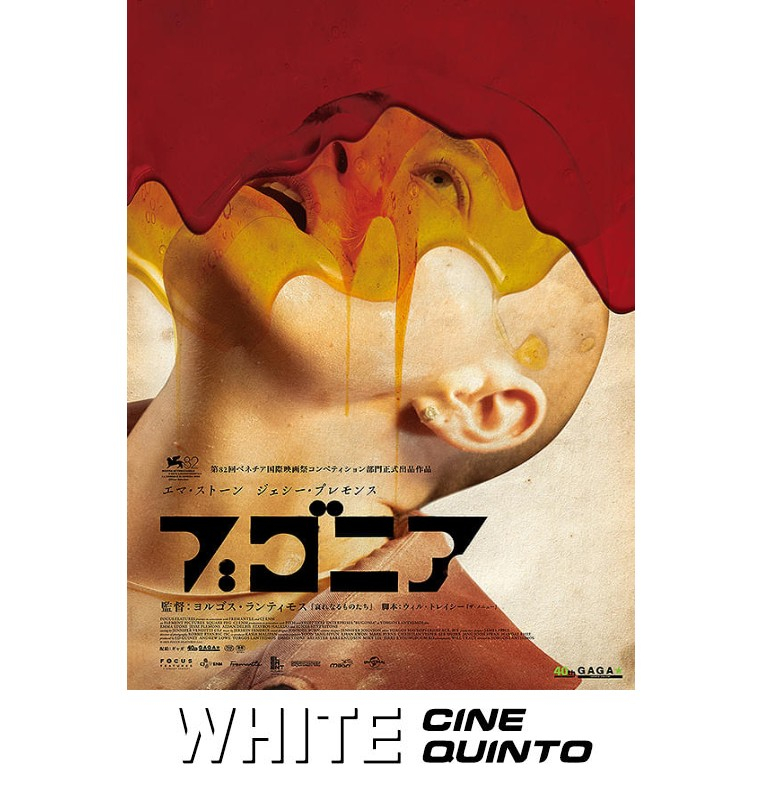 8F WHITE CINE QUINTO