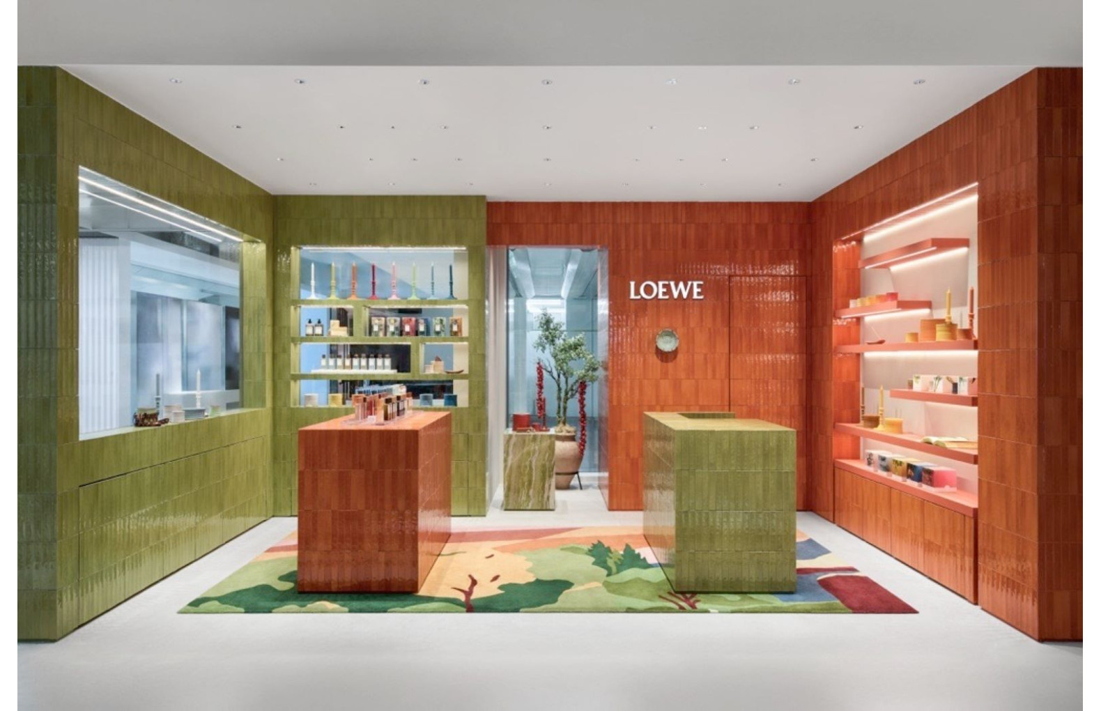 LOEWE Perfumes