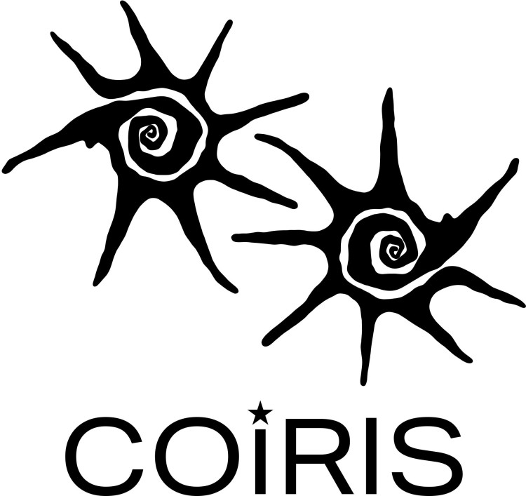 COIRIS(THE HYUNDAI)