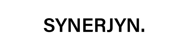 SYNERJYN(THE HYUNDAI)