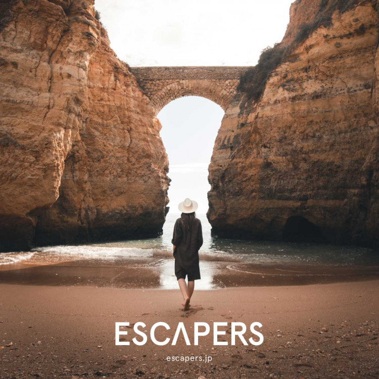 ESCAPERS(The window)