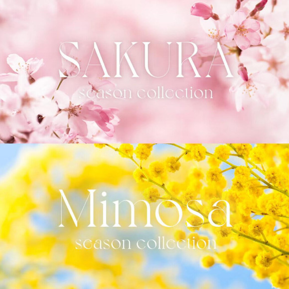 ❀季收藏櫻花·美莫扎❀