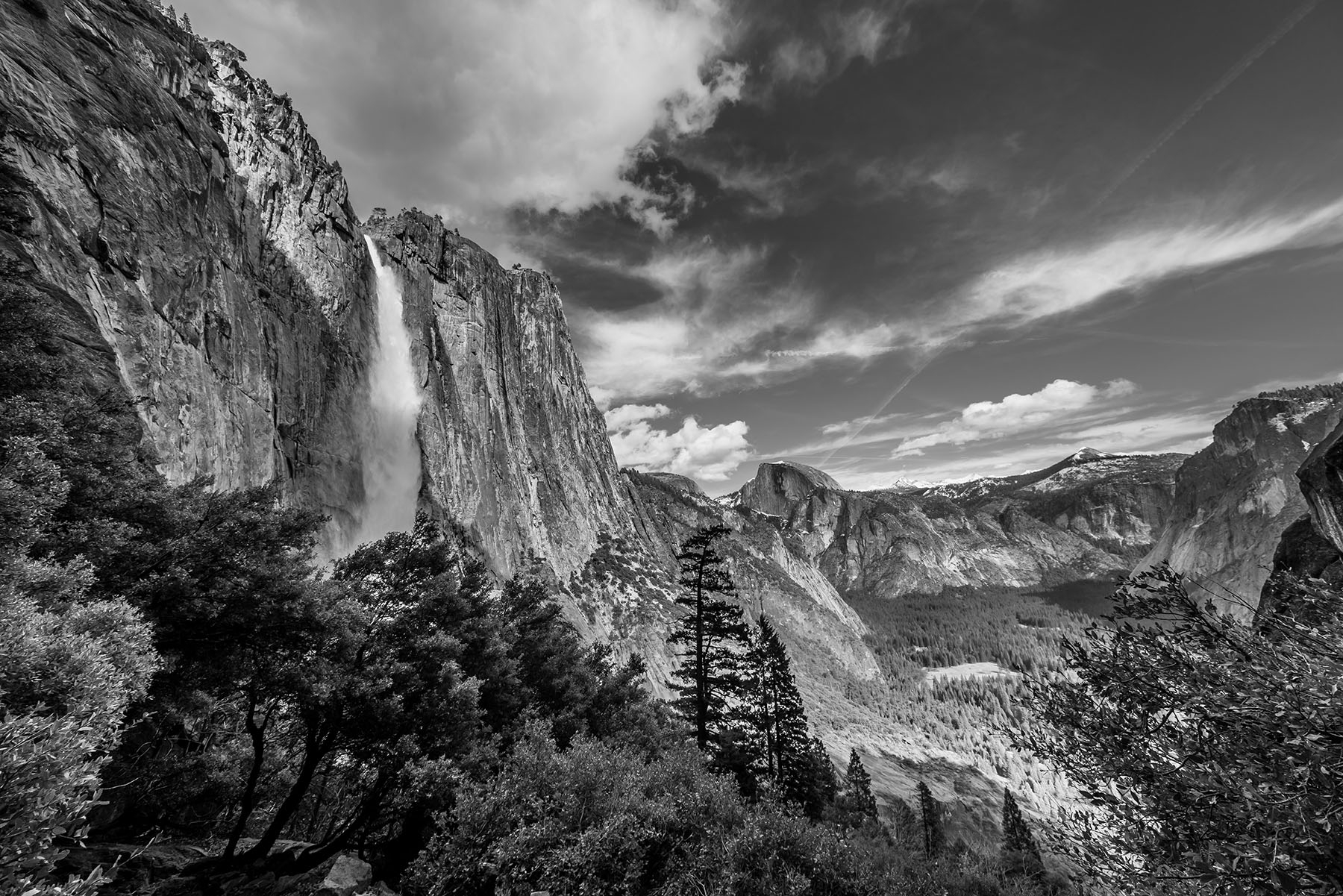 THE NORTH FACE UNLIMITED