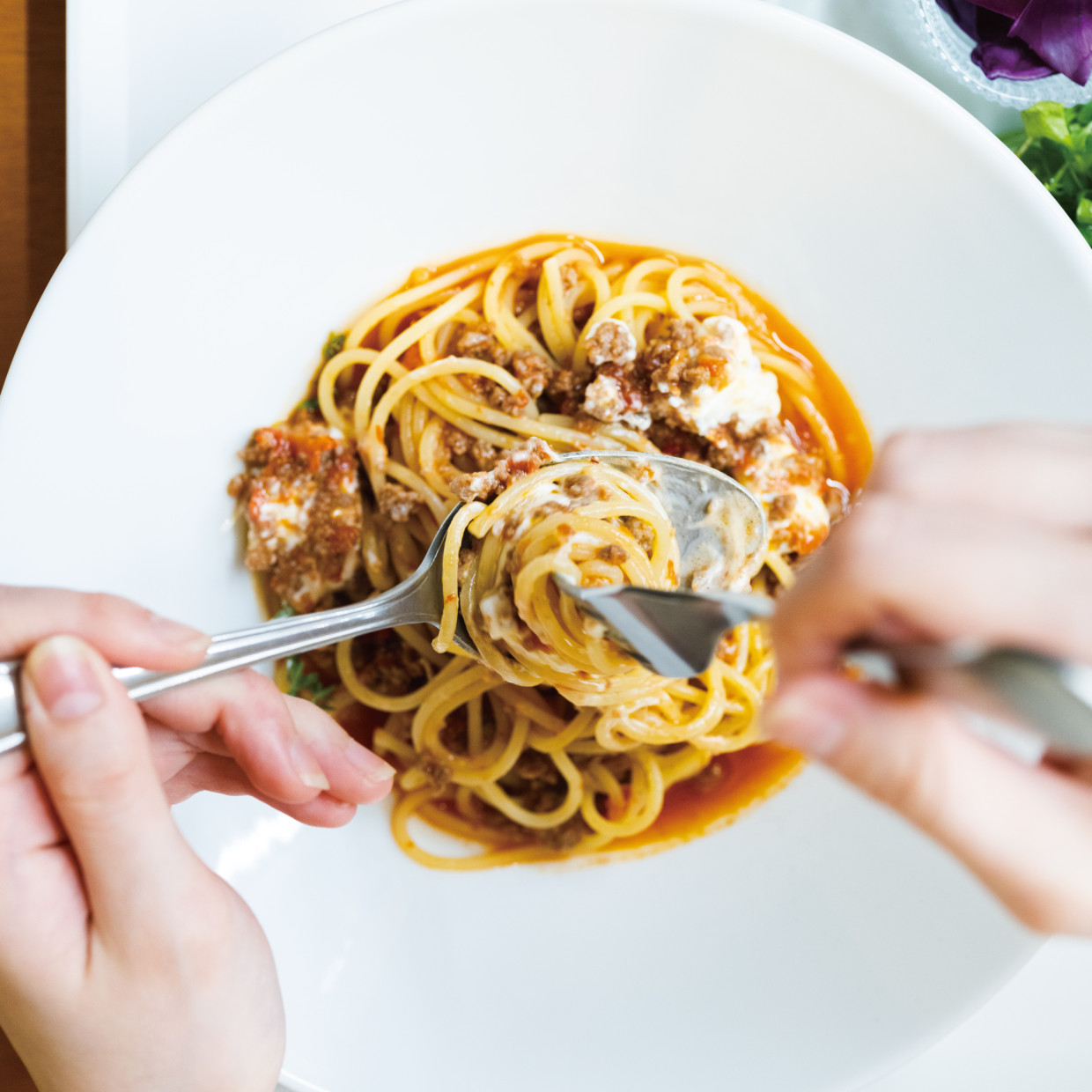 pasta gallery potto │ New & Renewal