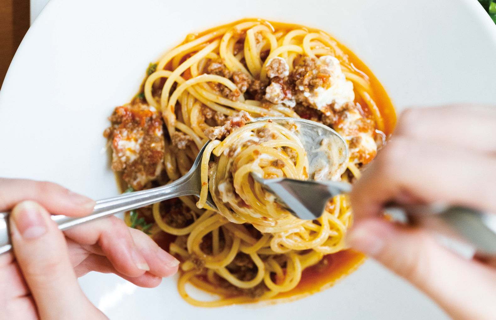 pasta gallery potto