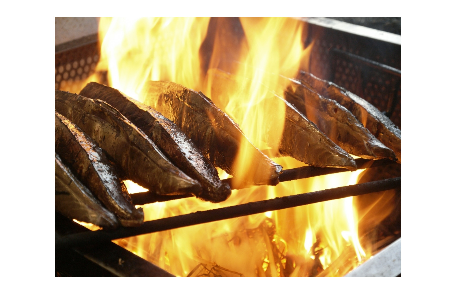 漁師酒場 あらき