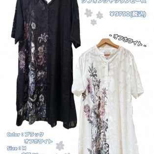 新作❁︎iS Sclor入荷しました♩