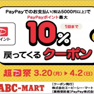【超Pay祭】5000円↑で10%ポイント還元【PayPay】