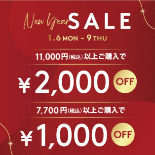 New year SALE