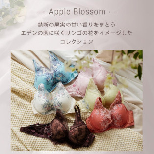 ⭐︎新作入荷⭐︎夢みるブラDeep V♡