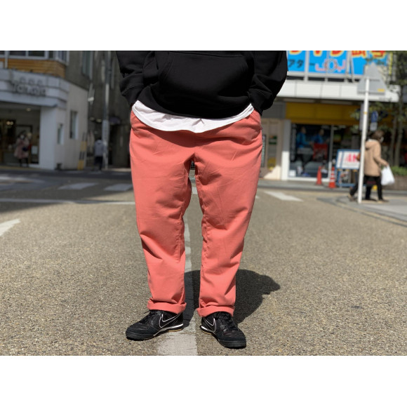 stussyパイソンビーチパンツ-