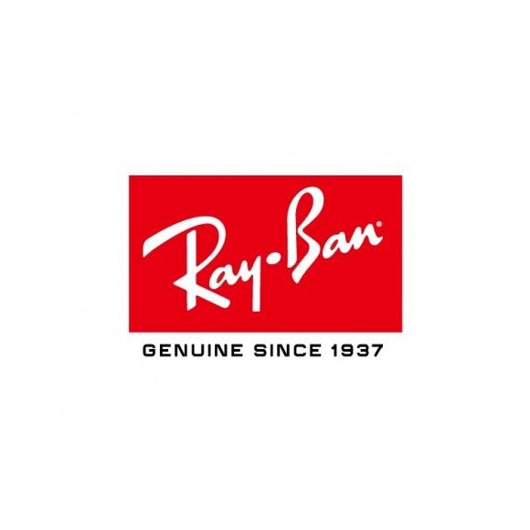 【RayBan】色が変わる！ レイバンの人気モデルアビエーターRB3689のEVOLVEモデル入荷！【Aviator（調光）】