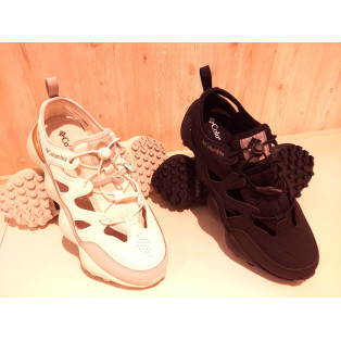 コロンビア「スライブ リバイブ シャンダル」入荷しました！