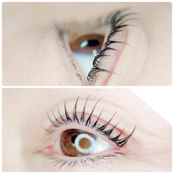 【静岡駅】花粉の時期こそブラックティントがおススメ