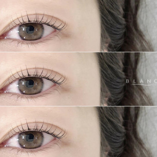 【静岡駅】春先にオススメ☆