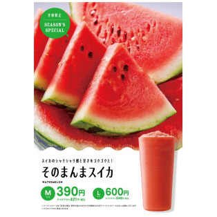 まるで果実！「そのまんまスイカ」