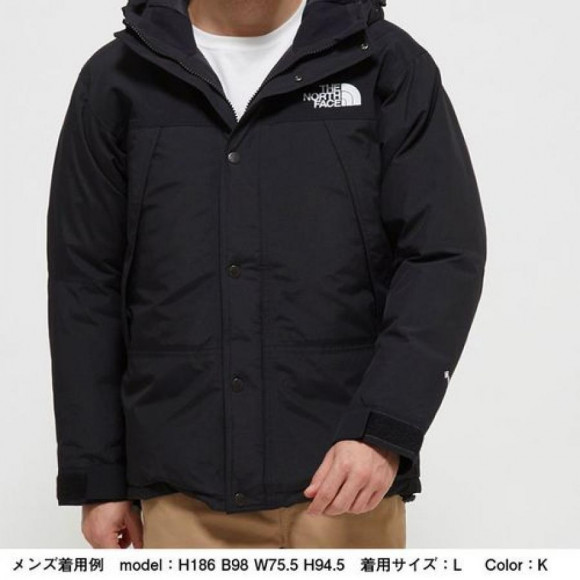 THE NORTH FACE マウンテンダウンジャケット（メンズ）ND91930