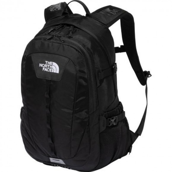 THE NORTH FACEリュックサック・バックパック　27L Google