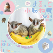 【10/12(土)～】「まるっと小動物展 2024 in 静岡」期間限定オープン！