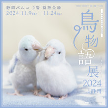 【11/9(土)～】「鳥物語トリストーリー展物展 2024 in 静岡」期間限定オープン！