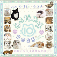 【6/14(土)～】「ねこ休み展 2025 in 静岡」期間限定オープン！