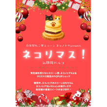 【12/12(金)~】「ネコリマス in 静岡パルコ」期間限定オープン!