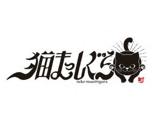 猫まっしぐら