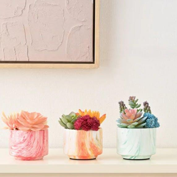 【NEW】ポット付きアートグリーン 多肉プランツ