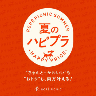 「夏のハピプラ | “ちゃんと＋かわいい”も“おトク”も、両方叶える！」