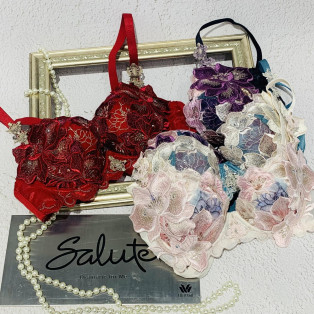 ワコール　サルート29グループ新作入荷のお知らせ