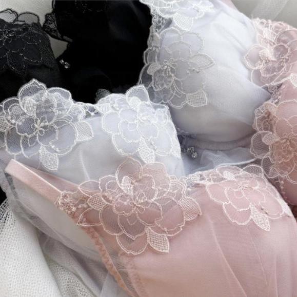 アンテシュクレ秋の新作【バストアップブラ】