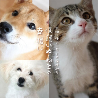 不要になった時計下取ります！《下取りキャンペーン》