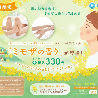 ミモザの香りで癒しを！！
